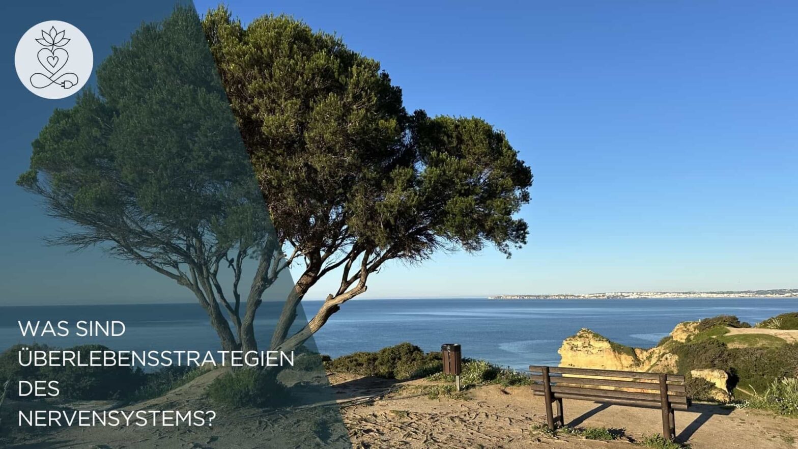 Bank mit Blick aufs Meer und Baum, Symbol für Innehalten, Regeneration und neue Wege bei chronischer Erschöpfung und Fatigue